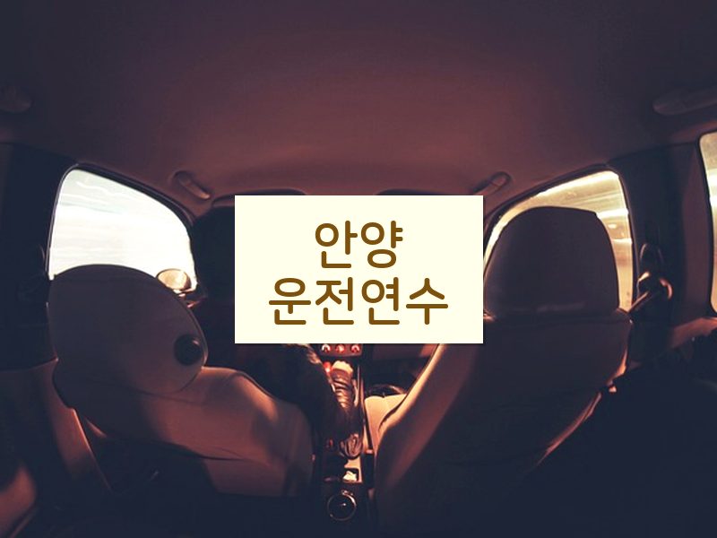안양운전연수 후기