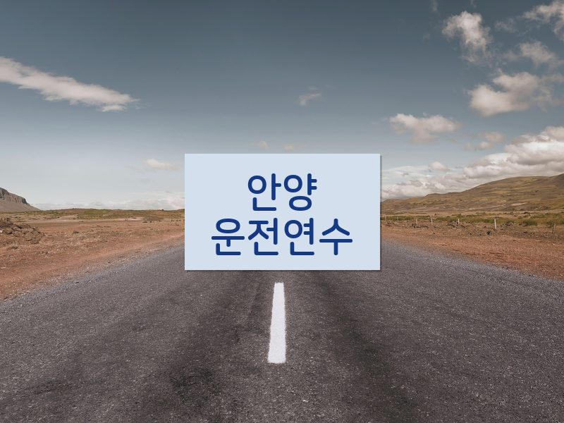 안양운전연수 후기