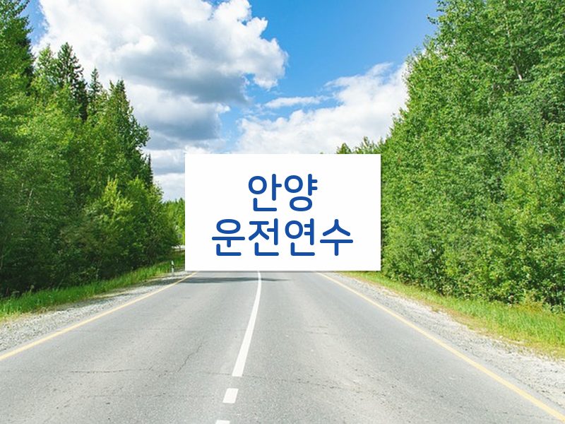 안양운전연수 후기
