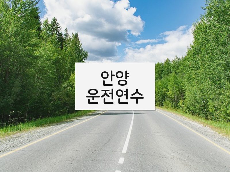 안양운전연수 후기
