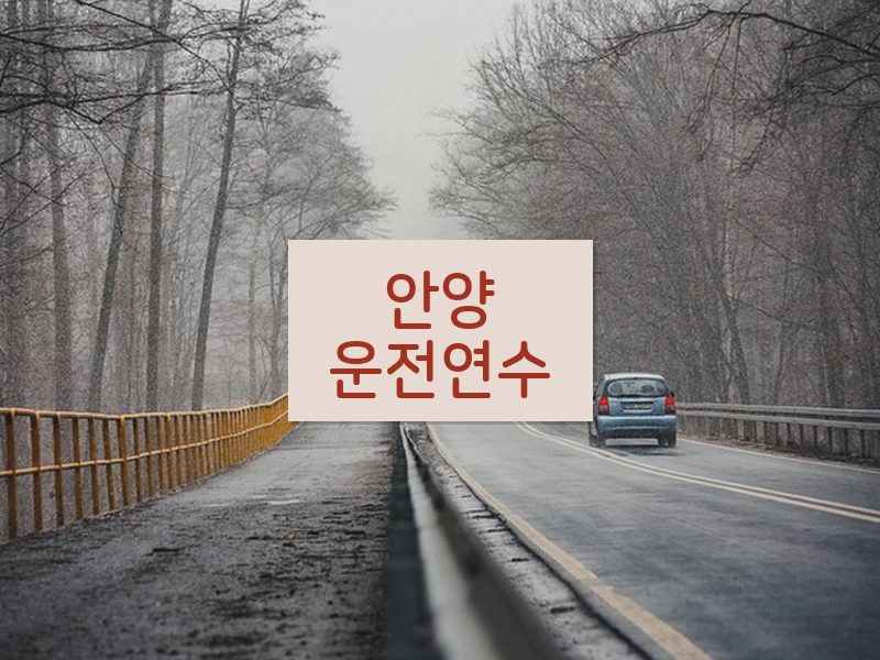 안양운전연수 후기