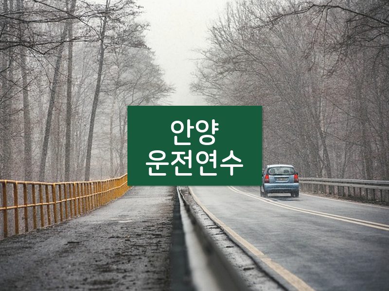 안양운전연수 후기