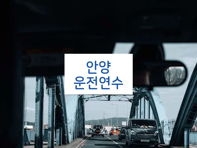 안양운전연수 후기