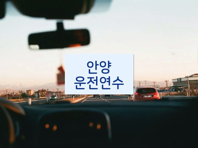 안양운전연수 후기