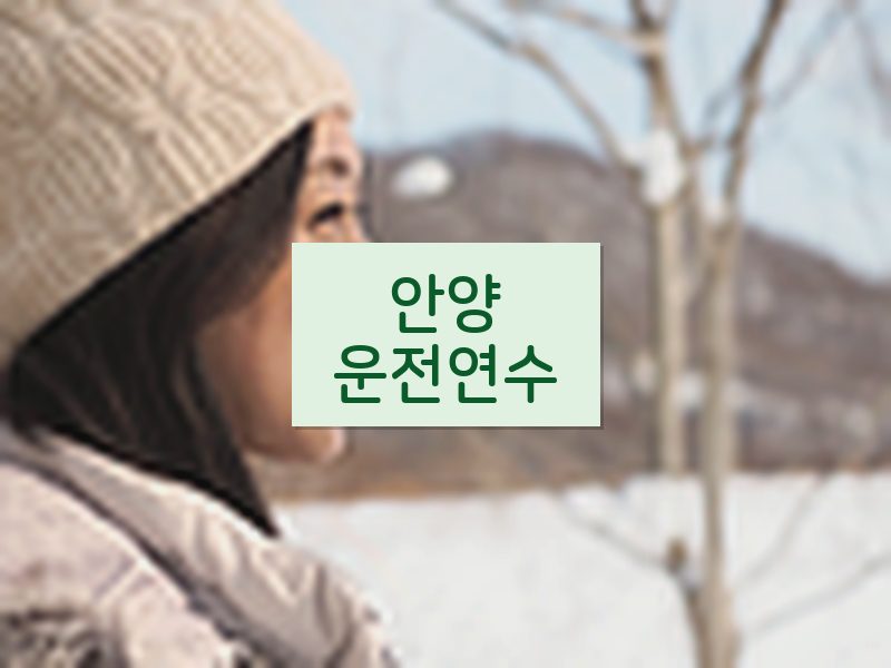 안양운전연수 후기