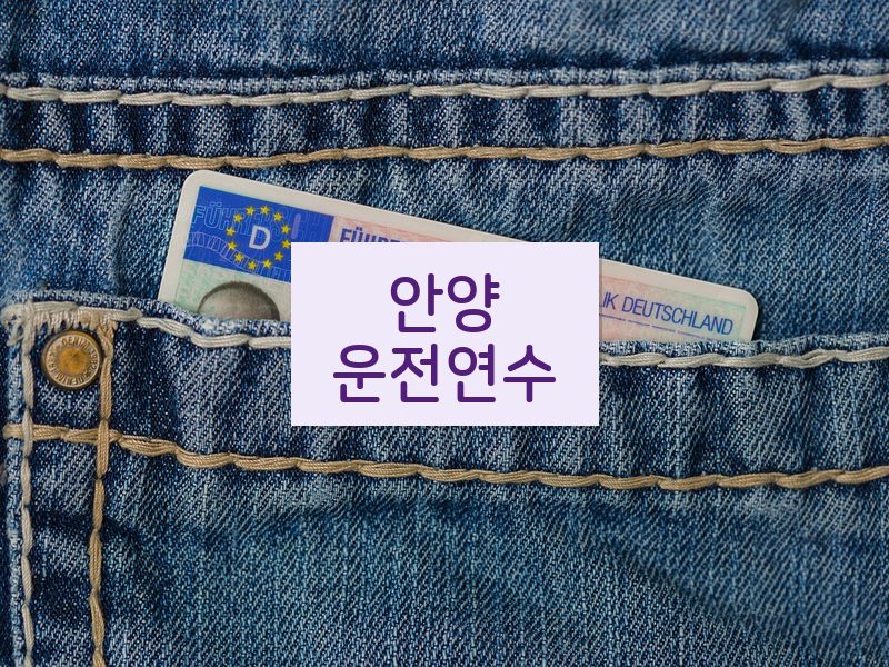 안양운전연수 후기