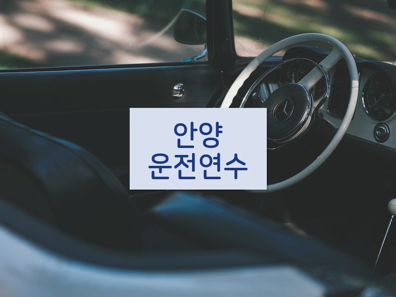 안양운전연수 후기