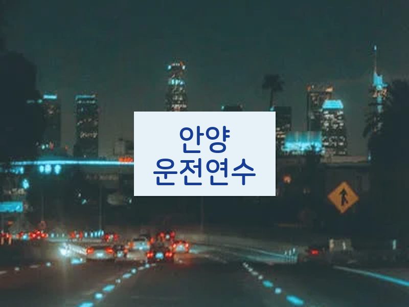 안양운전연수 후기