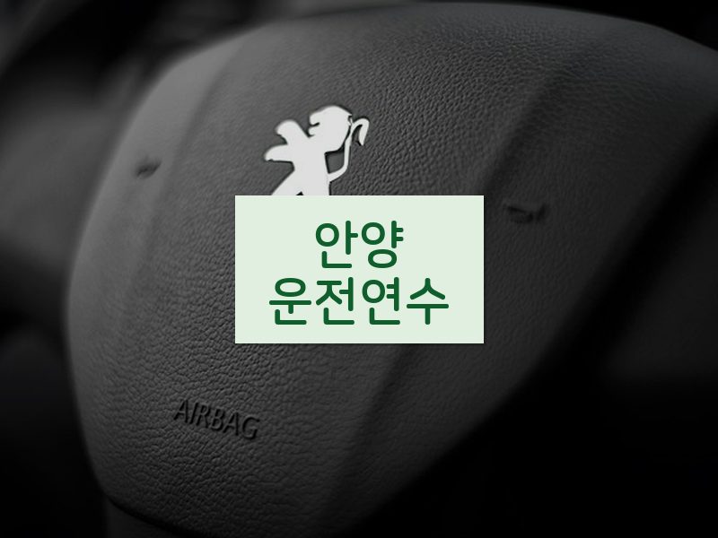 안양운전연수 후기