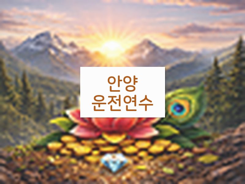 안양운전연수 후기