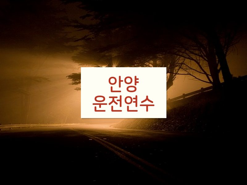 안양운전연수 후기