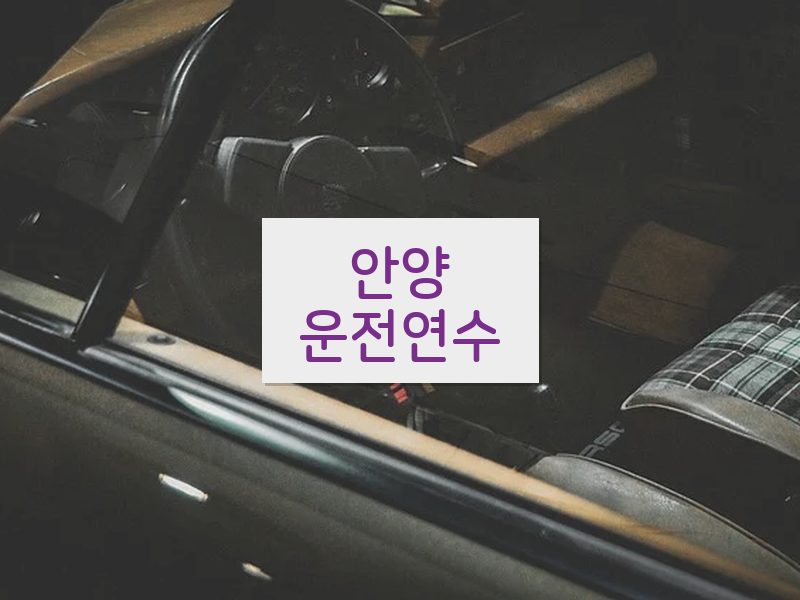 안양운전연수 후기