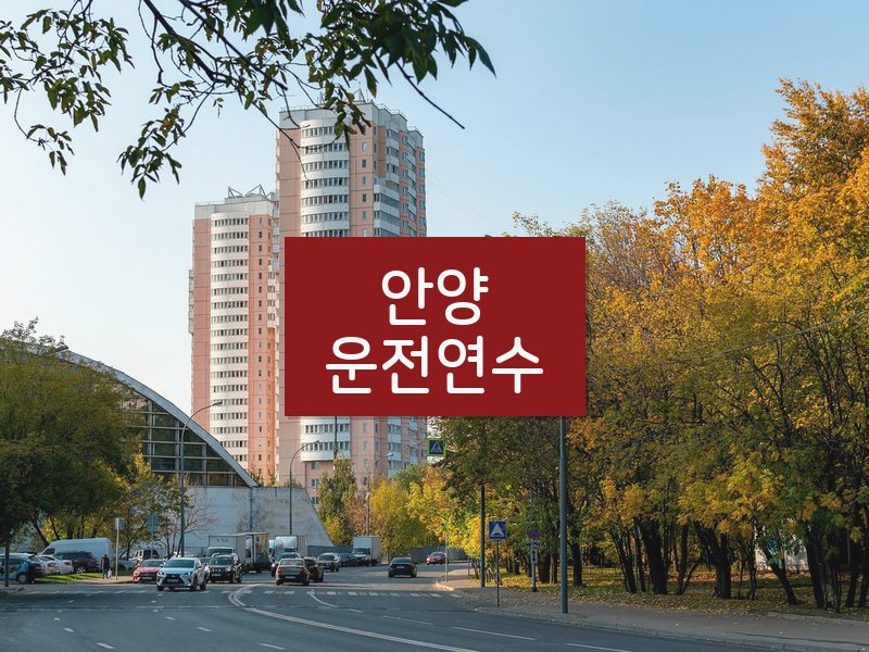 안양운전연수 후기