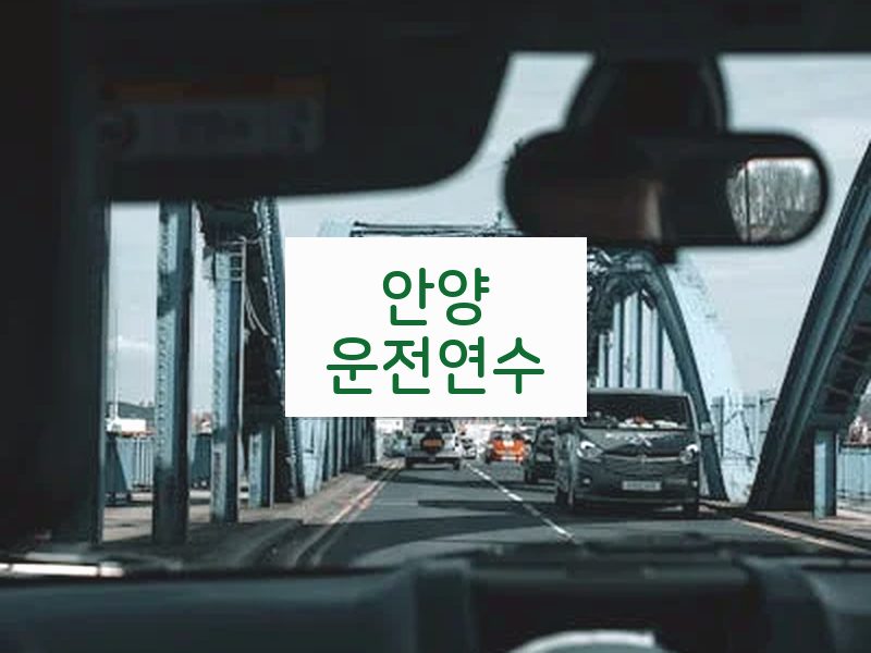 안양운전연수 후기