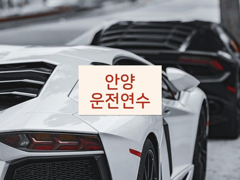 안양운전연수 후기