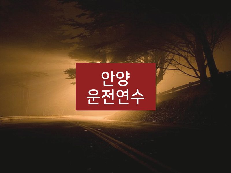 안양운전연수 후기