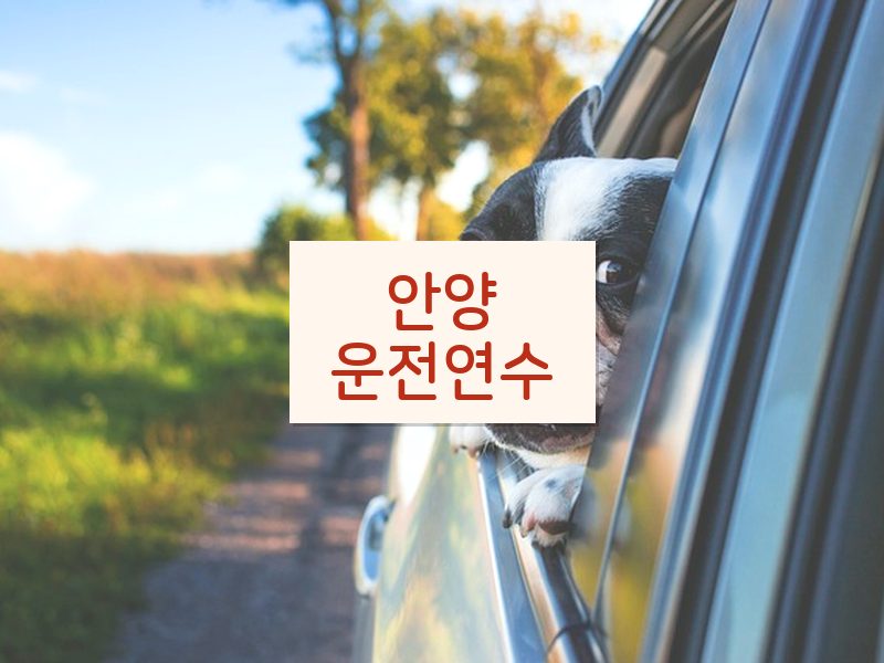 안양운전연수 후기