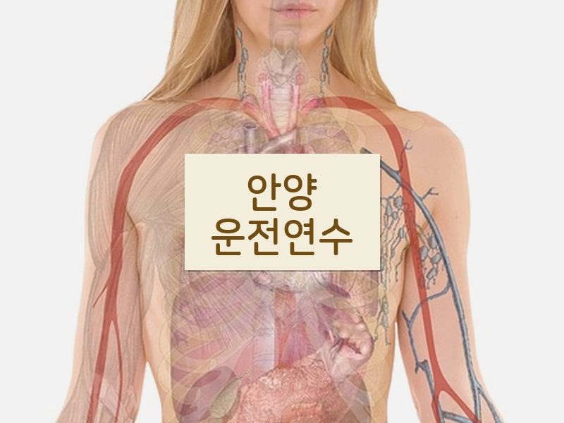 안양운전연수 후기