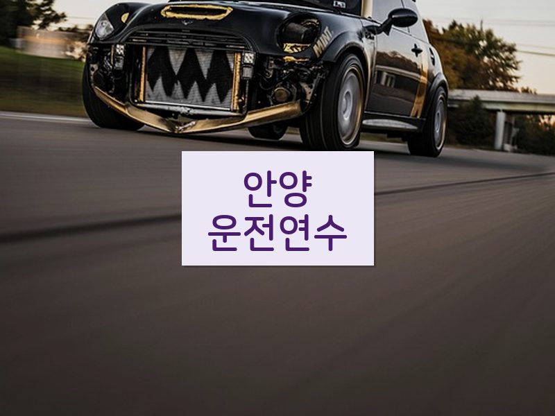 안양운전연수 후기