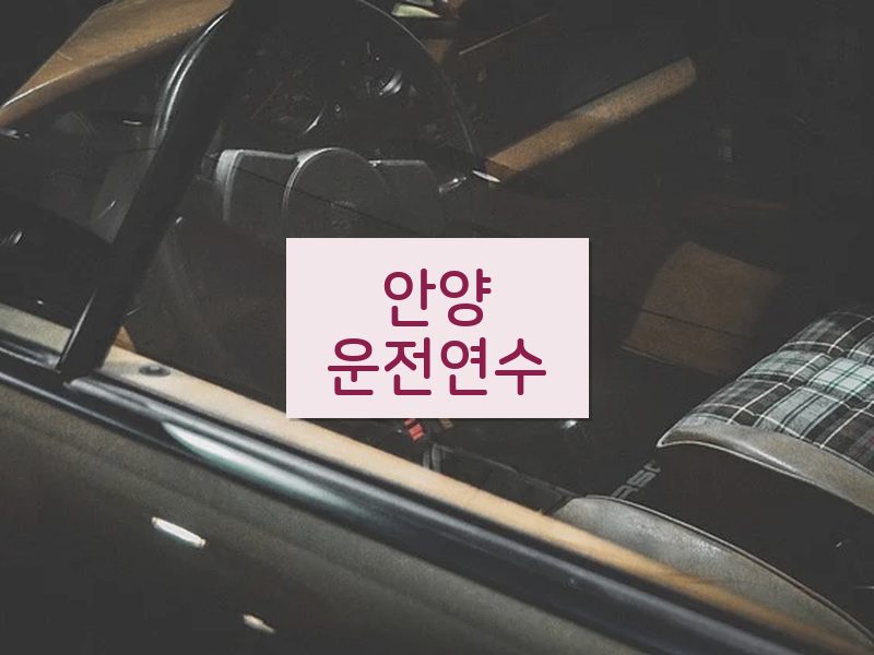 안양운전연수 후기