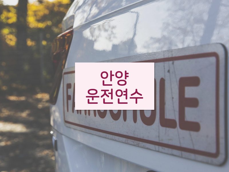 안양운전연수 후기