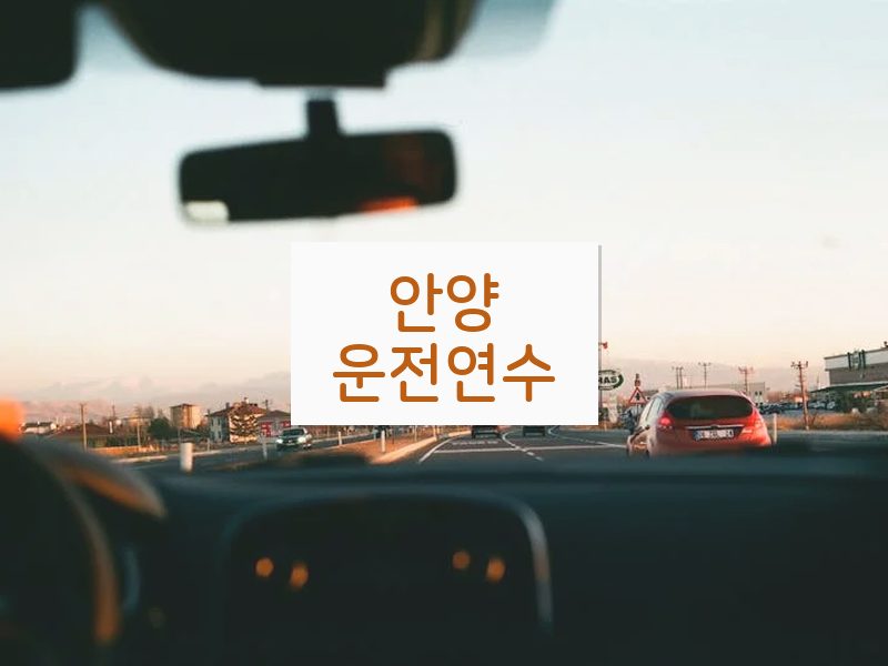 안양운전연수 후기
