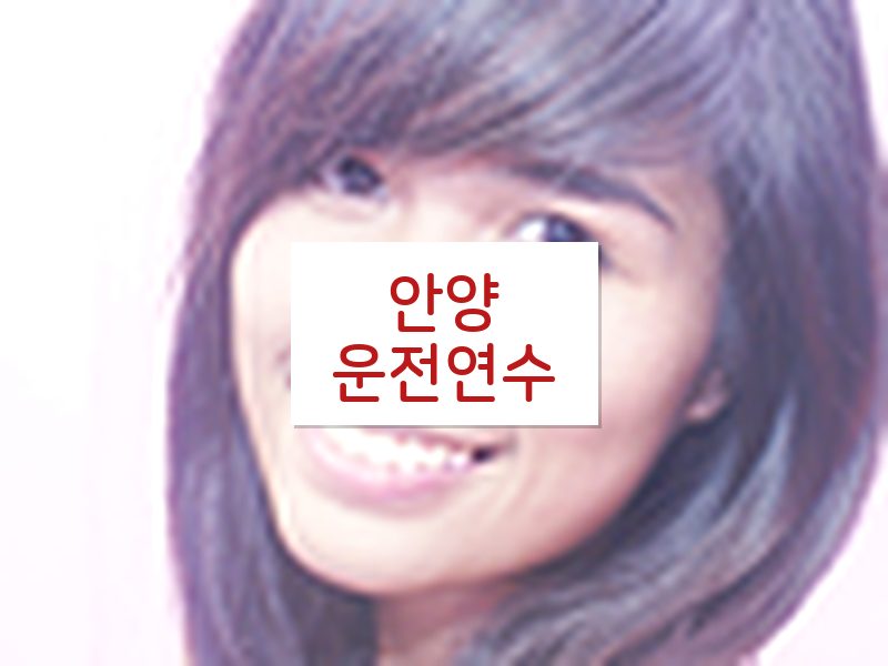 안양운전연수 후기