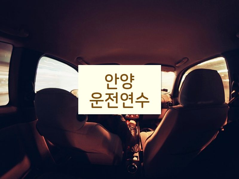 안양운전연수 후기