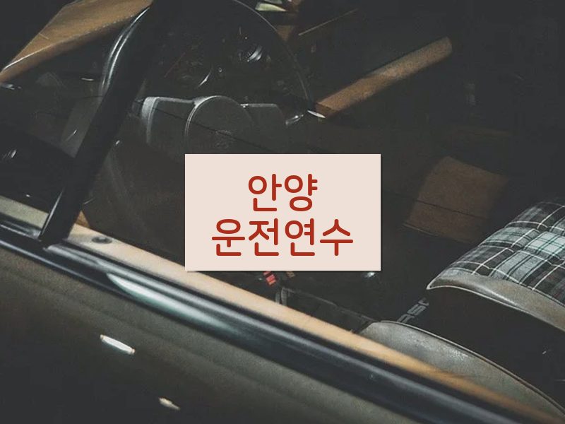 안양운전연수 후기