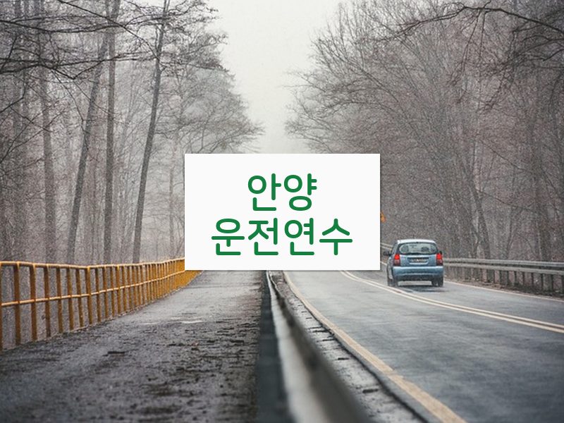 안양운전연수 후기