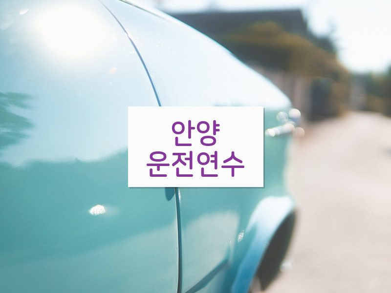 안양운전연수 후기
