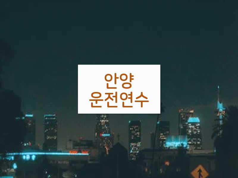 안양운전연수 후기