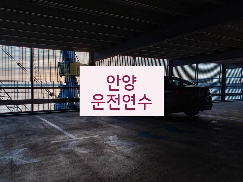안양운전연수 후기