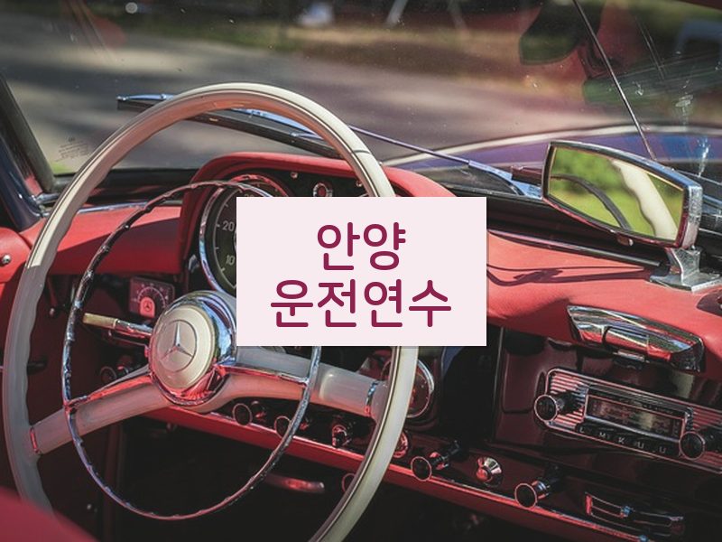 안양운전연수 후기