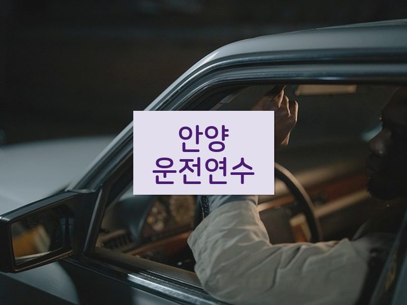 안양운전연수 후기