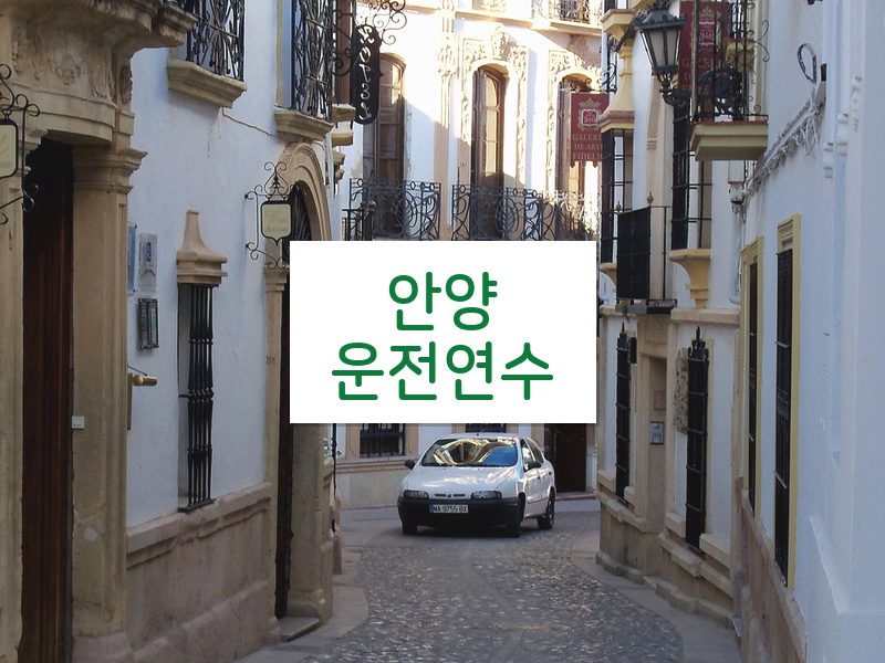 안양운전연수 후기