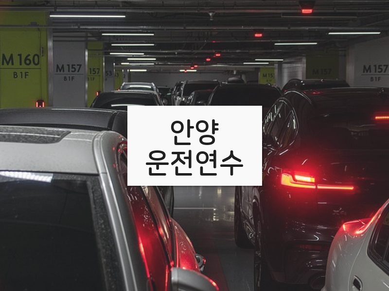 안양운전연수 후기