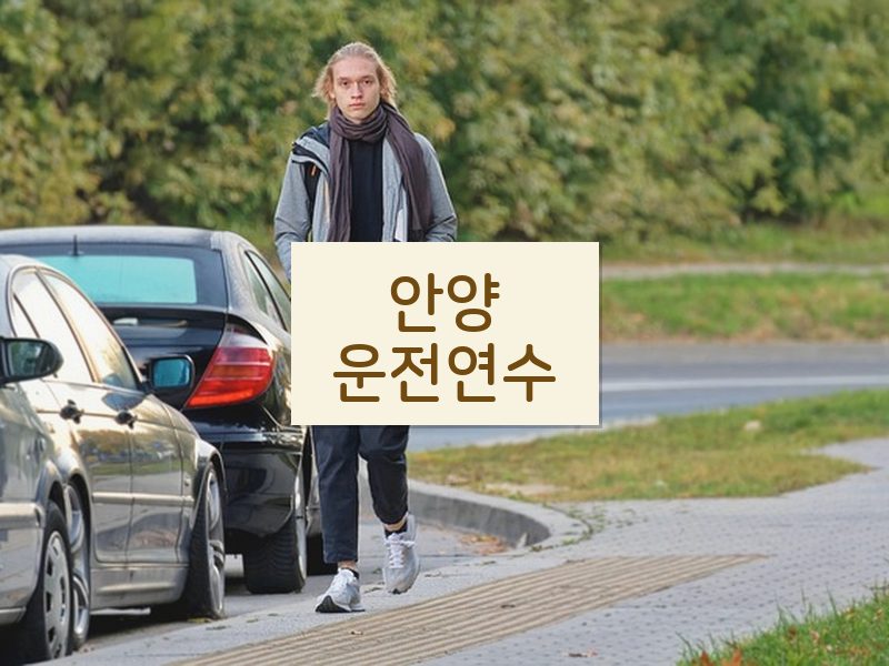 안양운전연수 후기