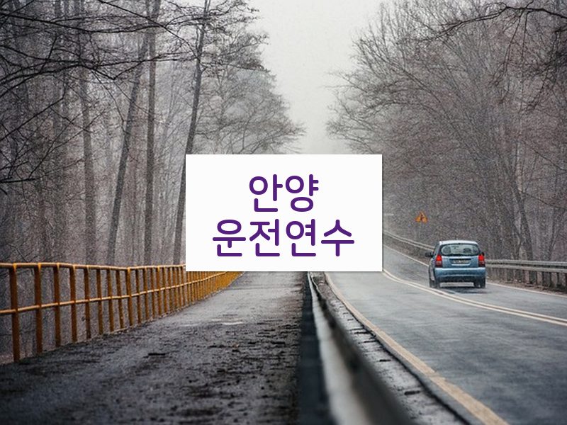 안양운전연수 후기