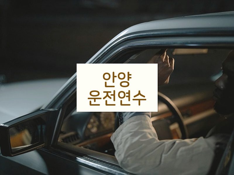 안양운전연수 후기
