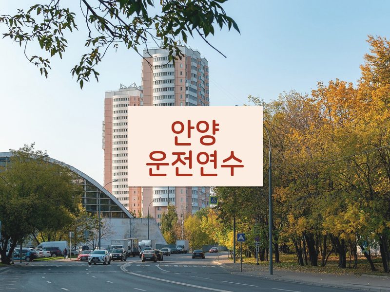 안양운전연수 후기