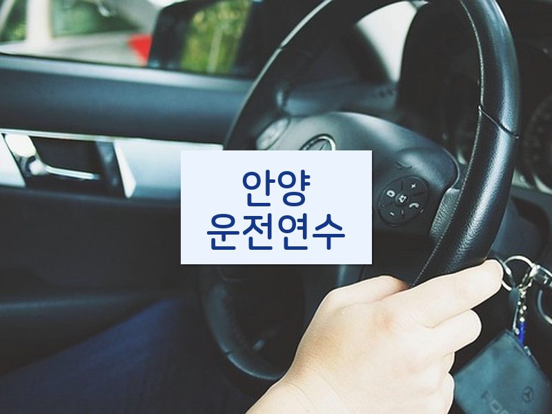 안양운전연수 후기
