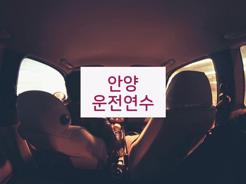 안양운전연수 후기