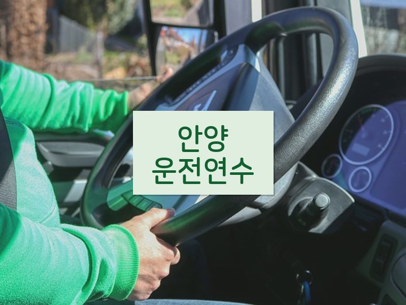 안양운전연수 후기