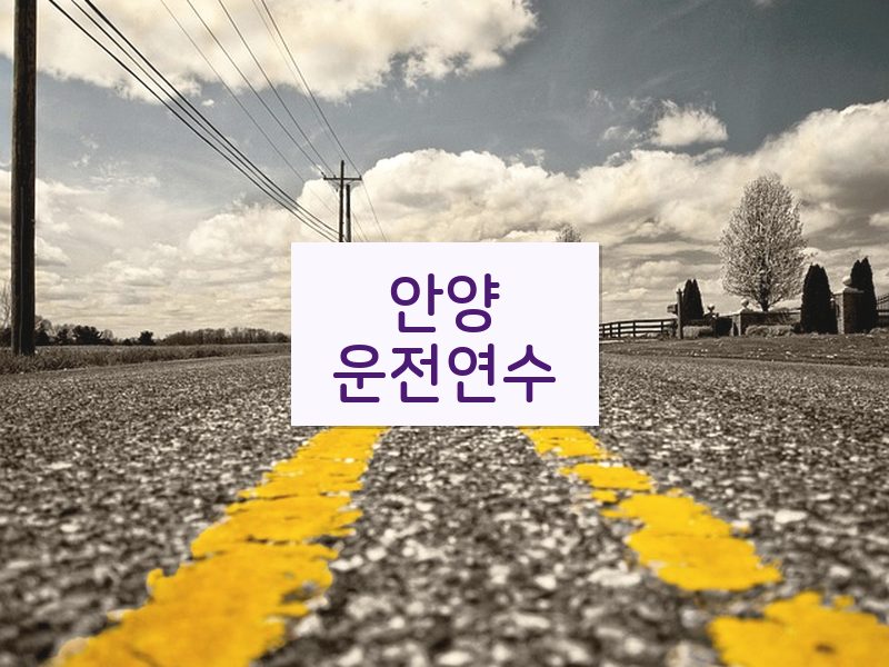 안양운전연수 후기