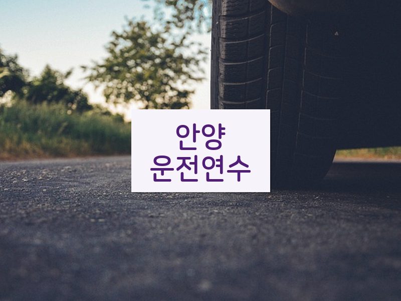 안양운전연수 후기