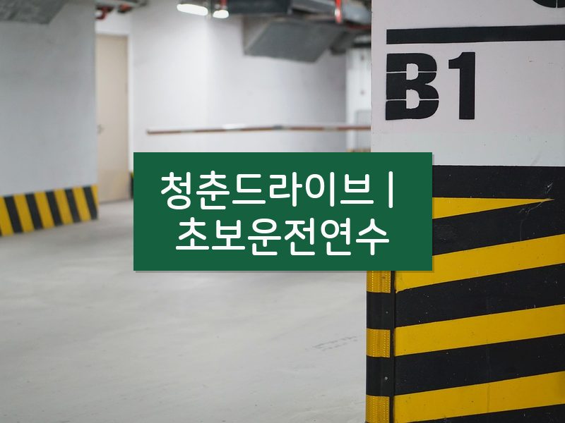 청춘드라이브 | 초보운전연수 후기