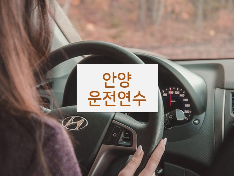 안양운전연수 후기