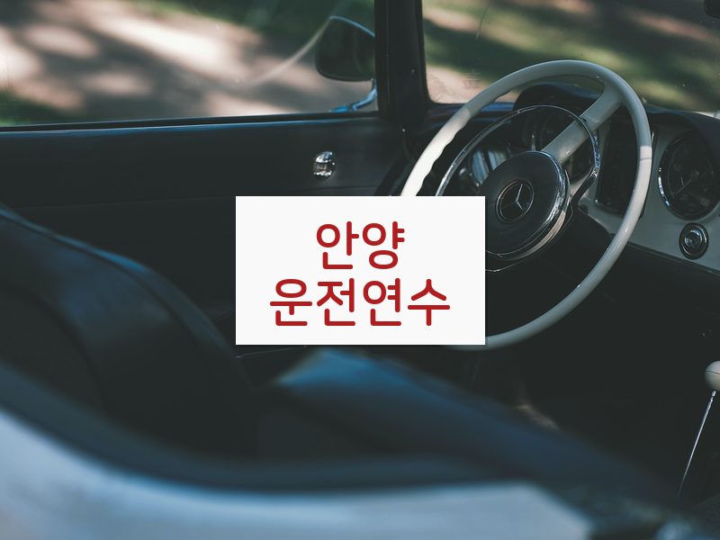 안양운전연수 후기