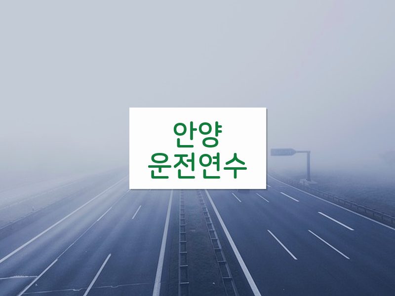 안양운전연수 후기